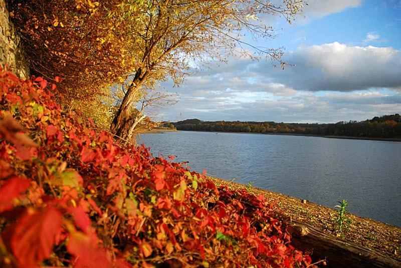 Maison Bord De Lac De Charmes Bannes  Exteriér fotografie